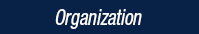 Organization_dark